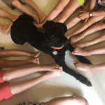 terapia_autizmus05 Autizmus-specifikus fejlesztés "kompót"